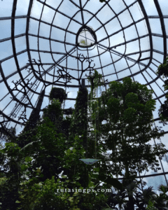 Jardín Botánico de Bogotá: Un Parche Brutal Lejos del Ruido