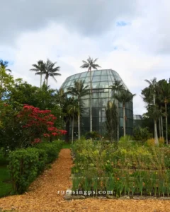 Jardín Botánico de Bogotá: Naturaleza, Clima Perfecto y Paz en un Solo Lugar